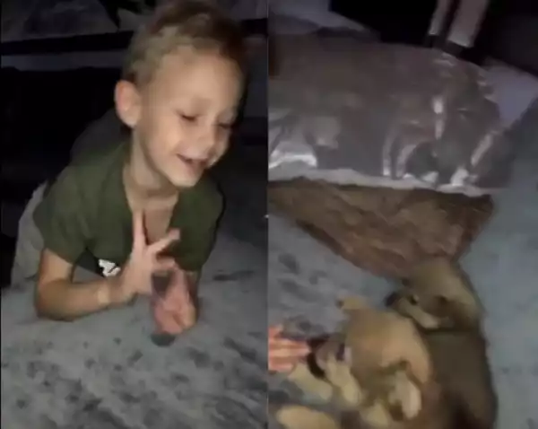 Photo: Neymar’s Son, Davi Names His Two New Puppies After Leo Messi And His Dad Neymar 